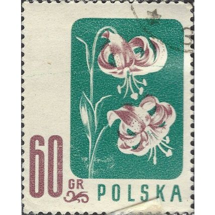 POLAND, FLOWER, Lilium martagon, green 1957, 60gr