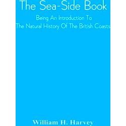 The Sea-Side Book