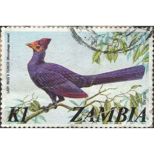 ZAMBIA, BIRD, Ross's Turaco, Musophaga rossae, blue 1975, K1, #3