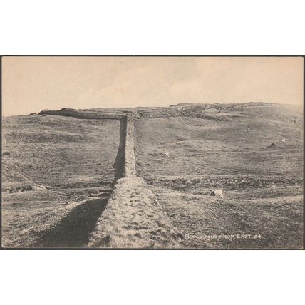 Borcovicus, from East, Northumberland, c.1905-10 - Gibson & Son Postcard