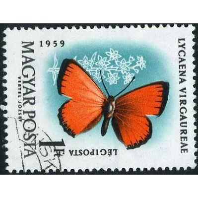 1959 Michel 1637 - cancelled