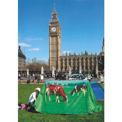 Grazing the Commons. Parliament Square, London
