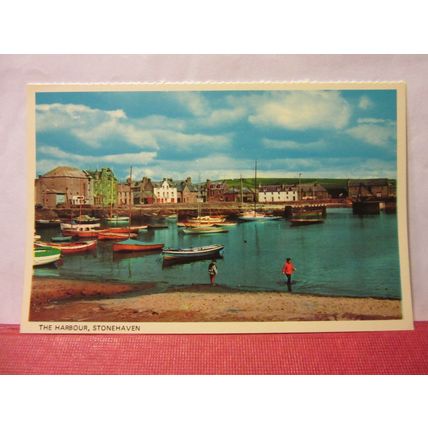 THE HARBOUR, STONEHAVEN, ABERDEENSHIRE, SCOTLAND unused postcard Colourmaster /