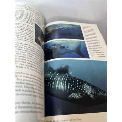 National Geographic Magazine December 1992 Cruicibles of Creation Volcanoes y