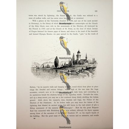 Bilberich (Bilberach), Germany, Book Illustration (Print), c1875