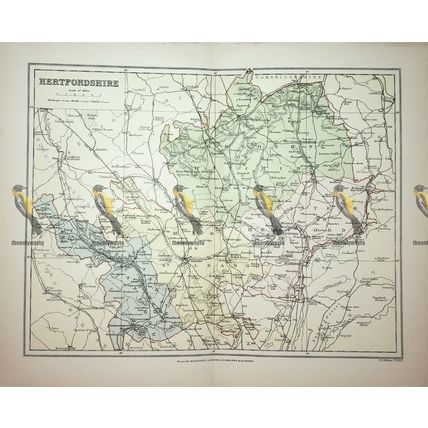 Hertfordshire, England, Map, Book Illustration (Print), 1895
