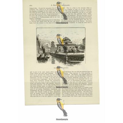 Thorwaldsen Museum, Copenhagen, Denmark, Book Illustration (Print), 1886
