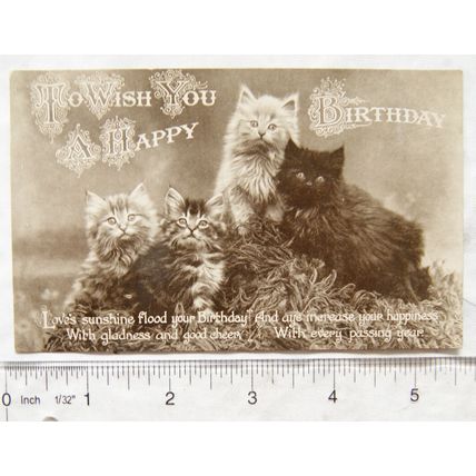 vintage postcard To Wish You A Happy Birthday - Kittens