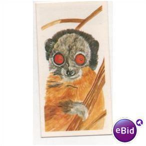Vintage 1978 Brooke Bond Tea card Vanishing Wildlife No.24 Nossi-Be Lemur