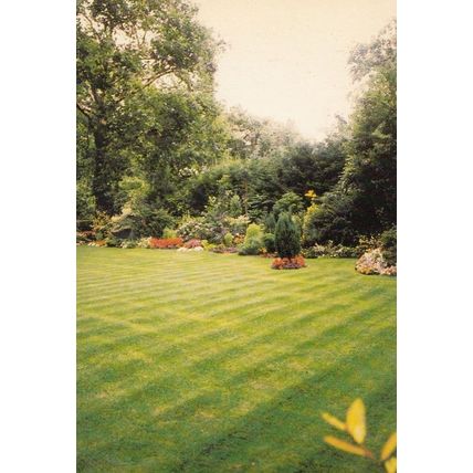 Over-Seas House League Gardens St James Street Park Place London Postcard