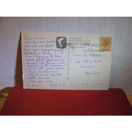 NEW FOREST INNS, multiview. used postcard by J. Salmon 1980 pm =