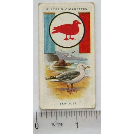 1933 Player's Boy Scout & Girl Guide Patrol Signs & Emblems No. 18 Sea-gull