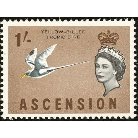 Ascension QEII 1963 1s Yellow Billed Tropic Unmounted Mint NHM SG 78 stamp bird