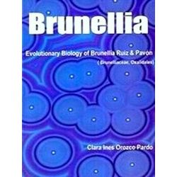Evolutionary Biology of Brunellia
