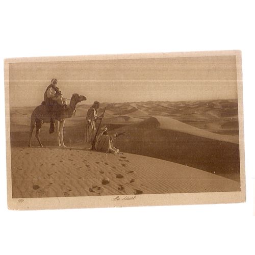 THE DESERT unused antique postcard camel =