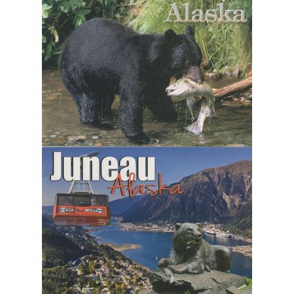 Alaska Bear Eating Fish Alive Statue & Real Bears 2x Postcard