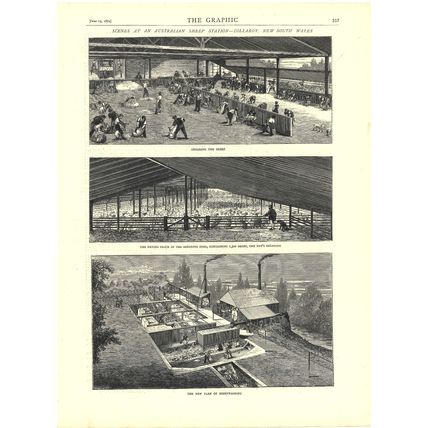 SCENES AT AN AUSTRALIAN SHEEP STATION - COLLAROY NEW SOUTH WALES 1872 ENGRAVING