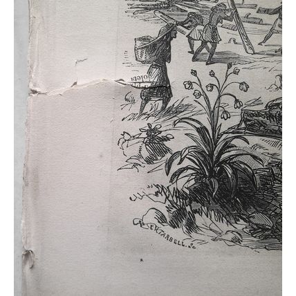 Ballou's Pictorial May 2, 1857. Digger Indians of CA; Oriskany & King's Mountain