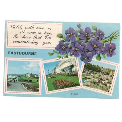EASTBOURNE, SUSSEX multiview used vintage postcard. 1982 POSTMARK violets =