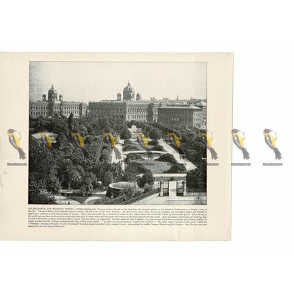 Volksgarten and Theseum, Vienna, Austria, Book Illustration (Print), 1899