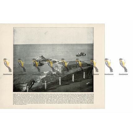 Cliff House & Seal Rocks, Golden Gate, California, USA, Book Illustration, 1899
