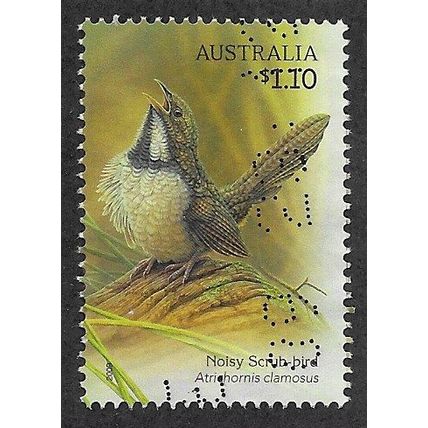 AUS 2009 $1.10 'SONGBIRDS - NOISY SCRUB BIRD' FINE USED (EBID66-726)