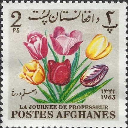 AFGHANISTAN, FLOWER, Tulips, Teacher's Day, brown 1964, 2pul