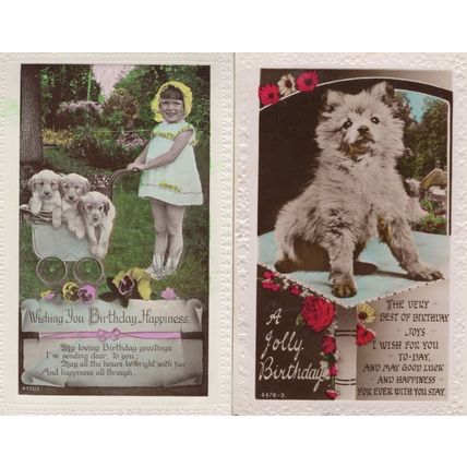 A Pram Of Dogs 2x Birthday Greetings Real Photo Postcard s
