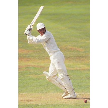 Martin Crowe New Zealand Cricket Player Postcard