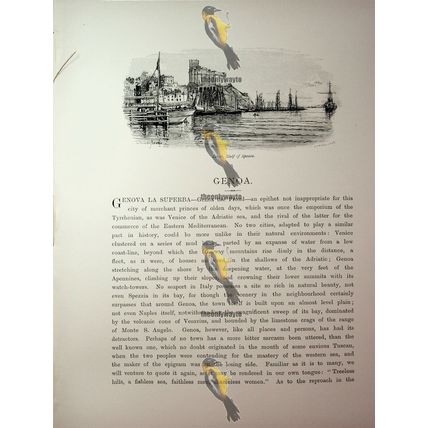 Levici, Gulf Of Spezzia, Italy, Book Illustration (Print), 1890