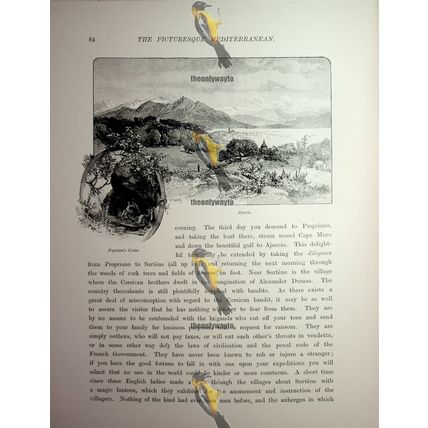 Ajaccio (& Napoleon's Grotto), Corsica, France, Book Illustration (Print), 1890