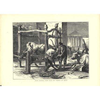 ROME SHOEING OXEN NEAR THE TEMPLE OF VESTA 1872 Horace Harral ANTIQUE ENGRAVING