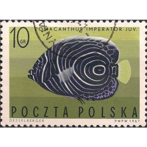 POLAND, FISH, Pomocanthus Imperator, green 1967, 10 Gr