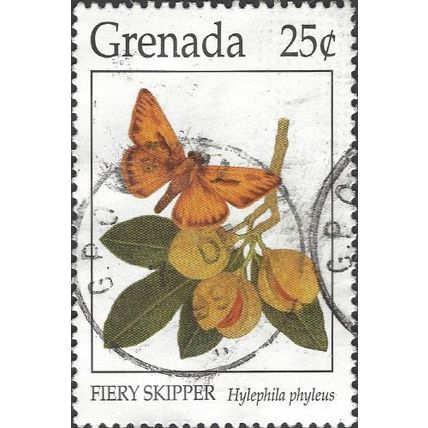 GRENADA, BUTTERFLY, Fiery skipper, Hylephila phyleus, white 1994, 25c