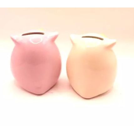 Pastel Shades Owl Moneyboxes Ceramic 9 CM Gift Home Decor Savings Money Notes