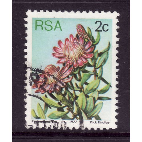 SOUTH AFRICA 1977 SUCCULENTS 2c P PUNCTATA 415 FINE USED#2