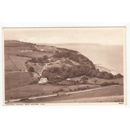 Luccombe Common near Ventnor Isle of Wight Postcard 69029
