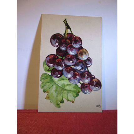 GRAPES ART series. unused antique postcard by Raphael Tuck c.1905 =
