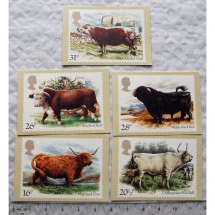 5x1984 Royal Mail postcards - Cattle