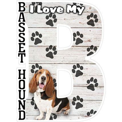 I Love My Basset Hound with Tounge Out Fridge Magnet