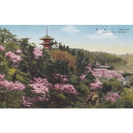Sankei En Park Yokohama Floral Display Japanese Old Postcard