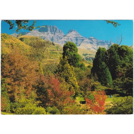 Postcard The Beautiful Berg. Drakensberg, South Africa