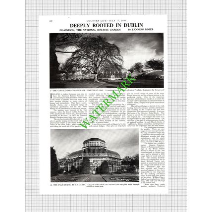 Glasnevin Botanic Garden Dublin Ireland - 1980 Article