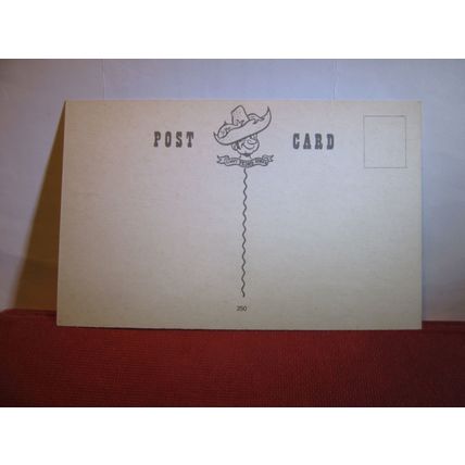 SAUCY SEASIDE POSTCARD unused PEDRO series no 250 HIGHLAND LONG-HORN #