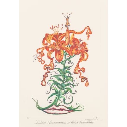 Salvador Dalí Florals Surrealist Flowers 1972 Picture 14 Poster Canvas Movie Fil