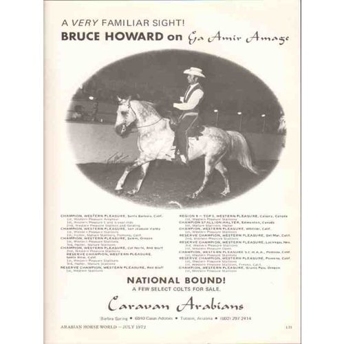 caravan arabians 1972 ga amir amage bruce howard stud horse vintage ad