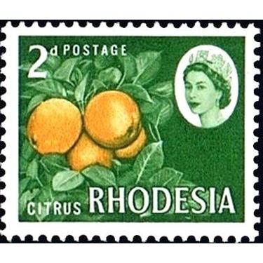 Rhodesia QEII 1966 2d Citrus Unmounted Mint NHM SG 375 Sc 224 postage stamp