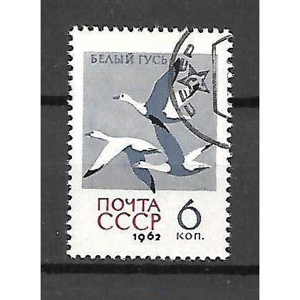 USSR 1962 Birds - 6K Anser Caerulescens VF USED