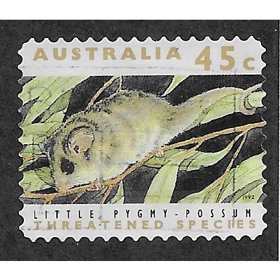AUS 1992 45c (S/A) 'LITTLE PYGMY POSSUM'(PHOS )(LITHO) FINE USED (EBID60-041)