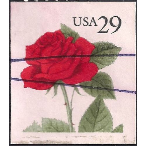 USA, FLOWERS, , Red Rose, white 1993, 29c